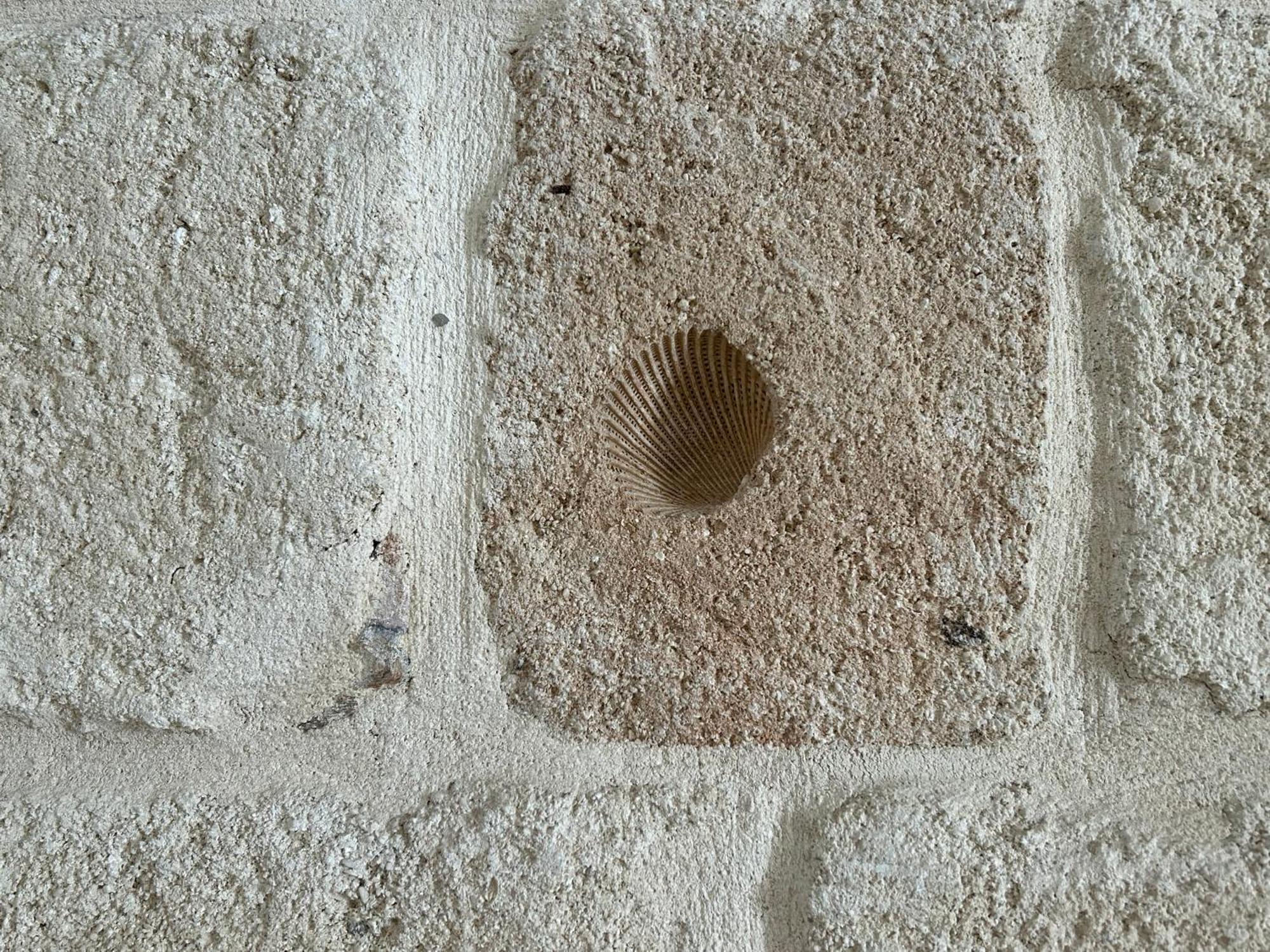 شقة Casa Rosaria مونوبولي المظهر الخارجي الصورة